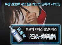 오피스타 | [REINA-하이퍼블릭-강남사이즈]