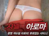 오피스타 | [광명건마-샤넬]