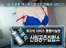 오피스타 | [신림공주집합소-퉁퉁이실장]