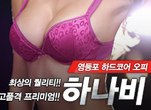 오피스타 | [영등포오피-하나비]
