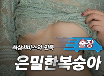 오피스타 | [강남출장-은밀한복숭아]